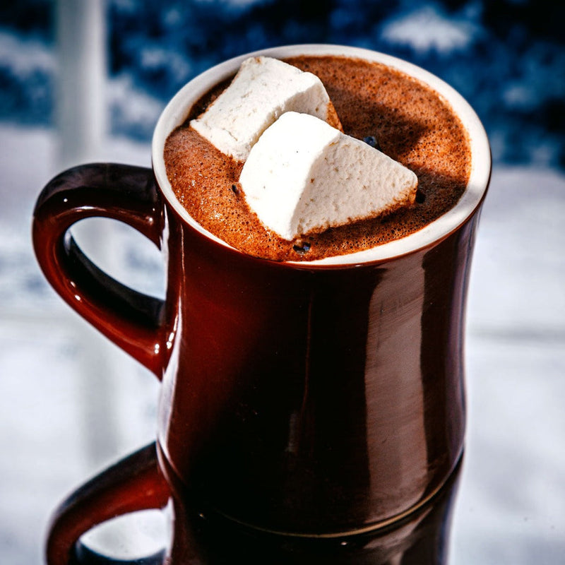 Organic Classic Hot Chocolate Mix - Raaka Chocolate - Vegan, Gluten Free