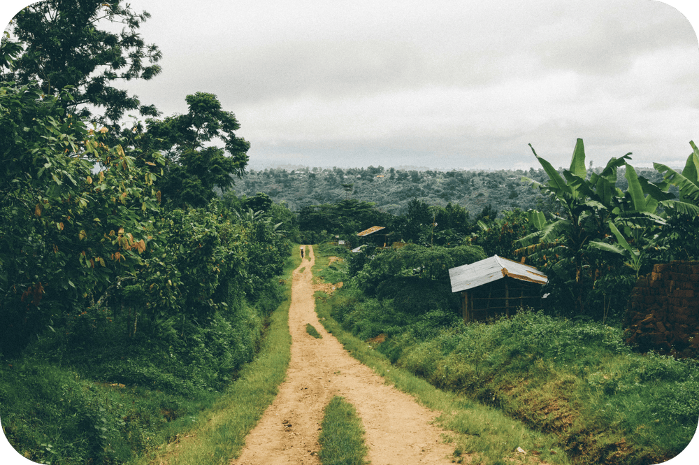 View of farm and road