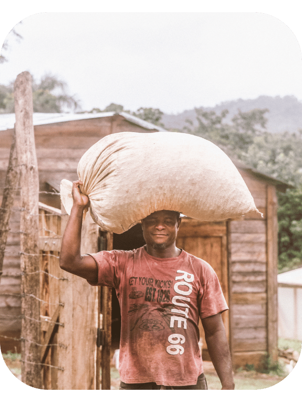 Farmer carrying cacao beans zorzal