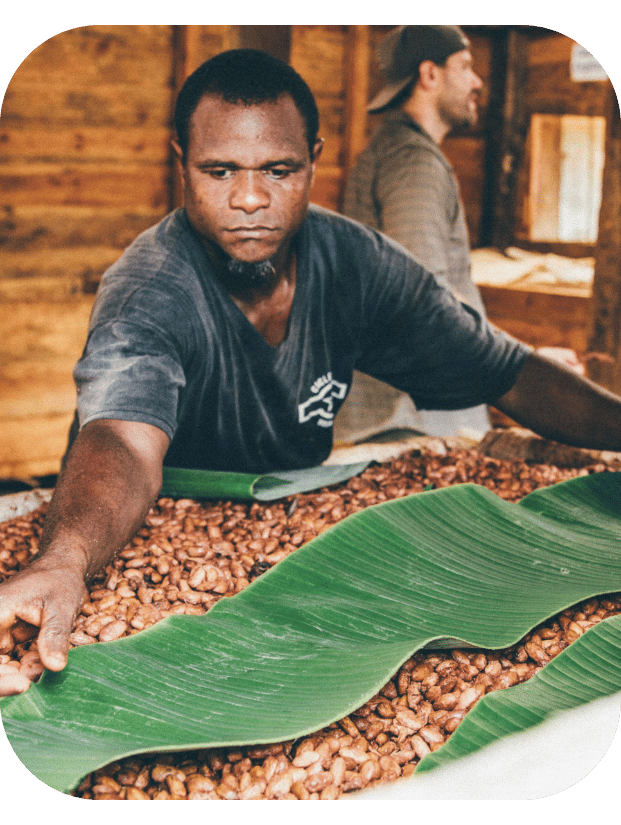 Farmer drying cacao beans at Zorzal