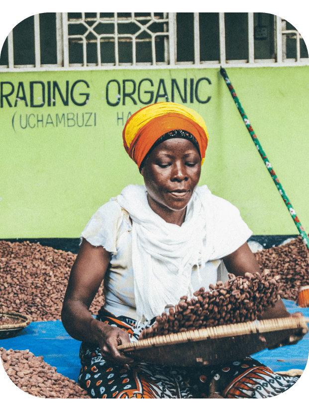 Kokoa Kamili farmer tossing cacao