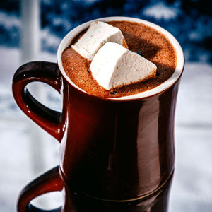 
                  
                    Organic Classic Hot Chocolate Mix - Raaka Chocolate - Vegan, Gluten Free
                  
                