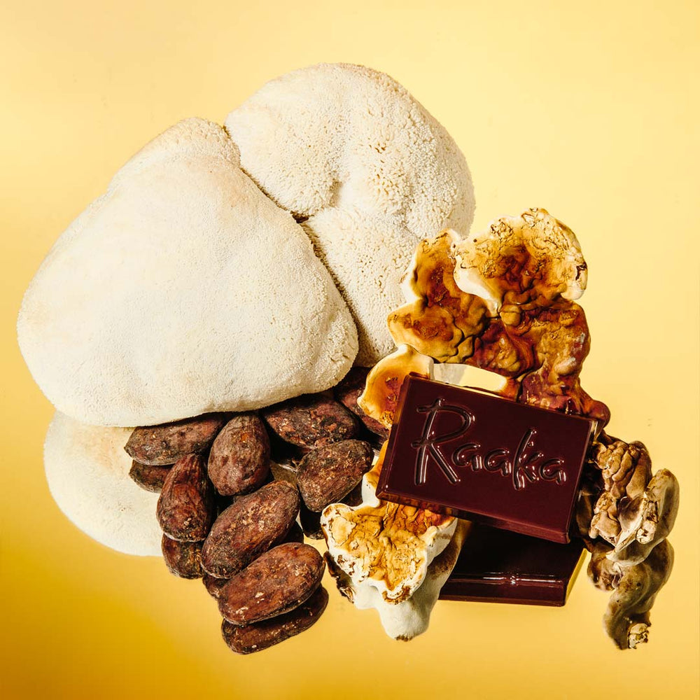 
                  
                    Cocoa Magic Mushroom Blend - Adaptogenic Hot Chocolate Mix - Vegan Drinking Chocolate - Raaka Chocolate
                  
                