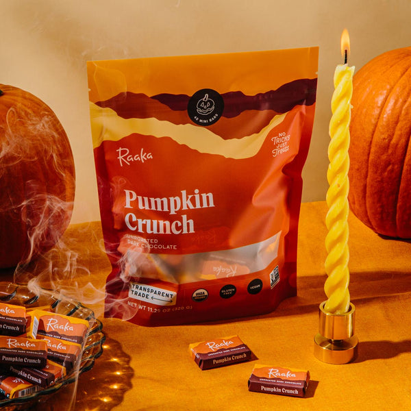 Pumpkin Crunch Minis Bag - Raaka Chocolate